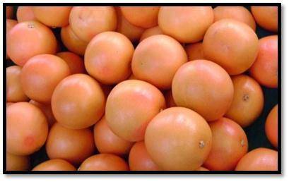 Product: GrapefruitAvailability:  Week 31 to 34